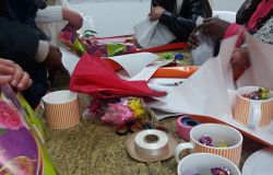 fundacion_seVE